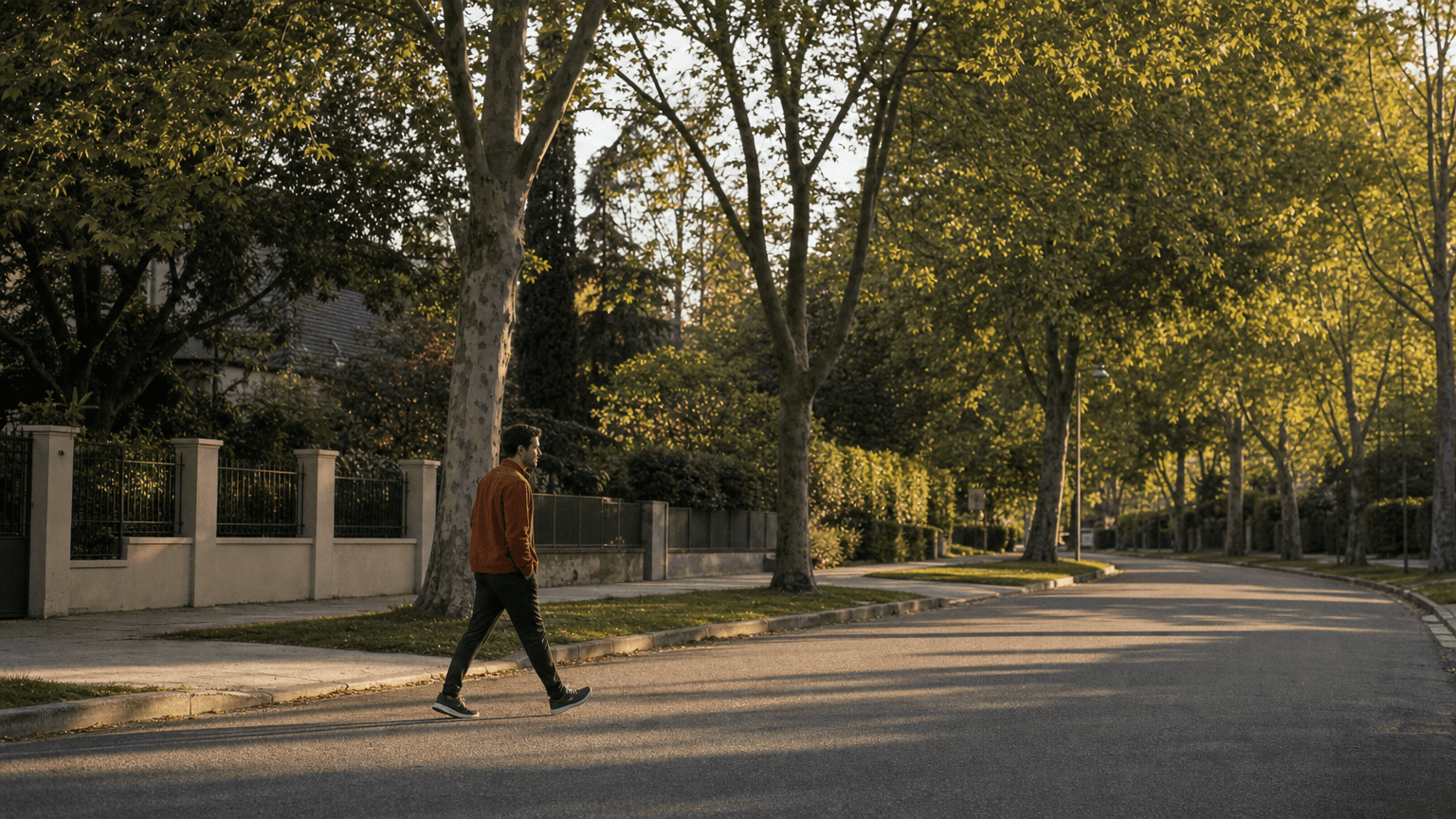 Walk in the early light